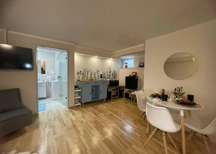 Villa City-oasis With 3 Bedrooms, Garden, Jacuzzi, Gym, Fireplace, Close To U1, Center & Airport Bécs